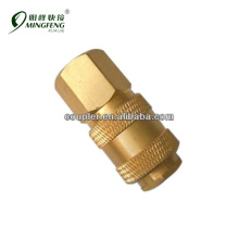 Quick Connecting Malleable Male Female Coupler